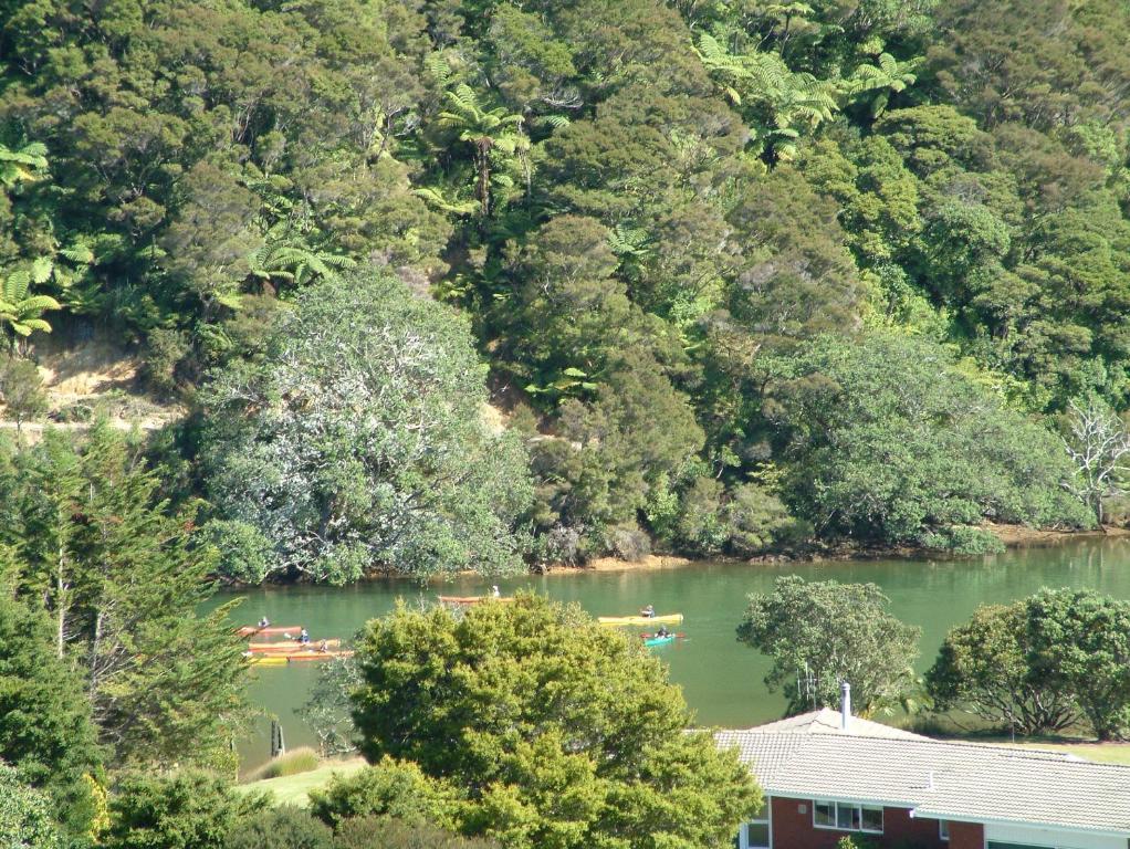 Baystay Bed And Breakfast Paihia Room photo